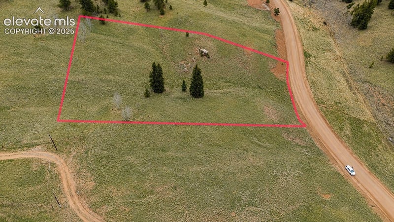 175 Twin Lakes Dr, Divide, CO 80814