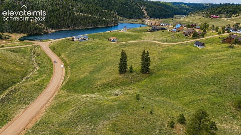 175 Twin Lakes Dr, Divide, CO 80814