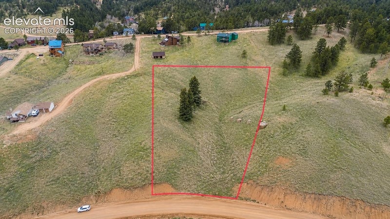 175 Twin Lakes Dr, Divide, CO 80814