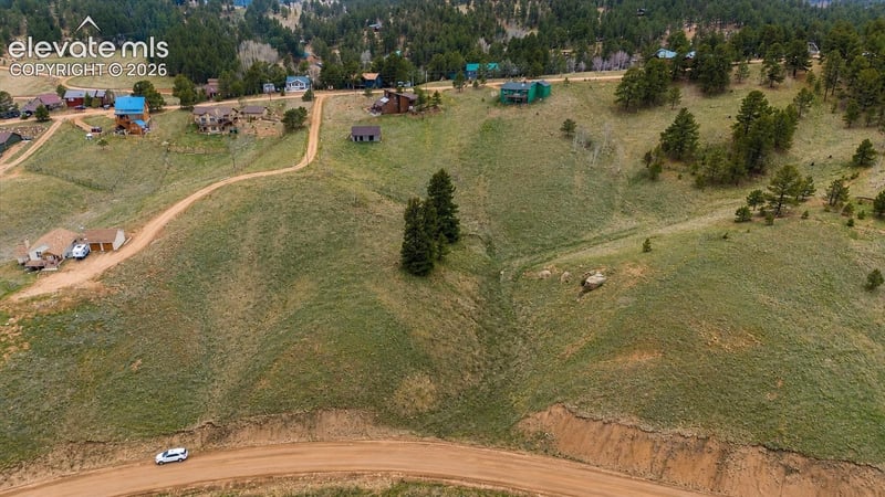 175 Twin Lakes Dr, Divide, CO 80814