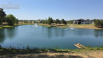 17910 Grama Ridge NA, Colorado Springs, CO 80908