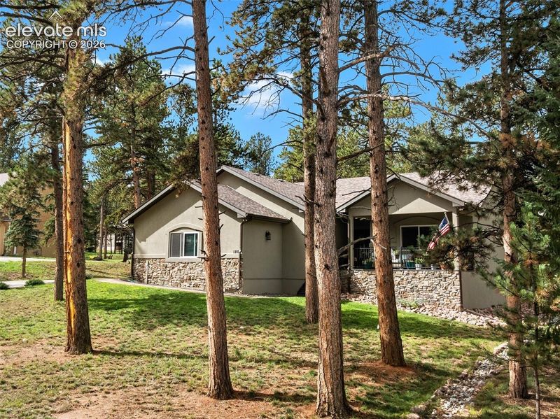 180 Wildrose Ct, Woodland Park, CO 80863