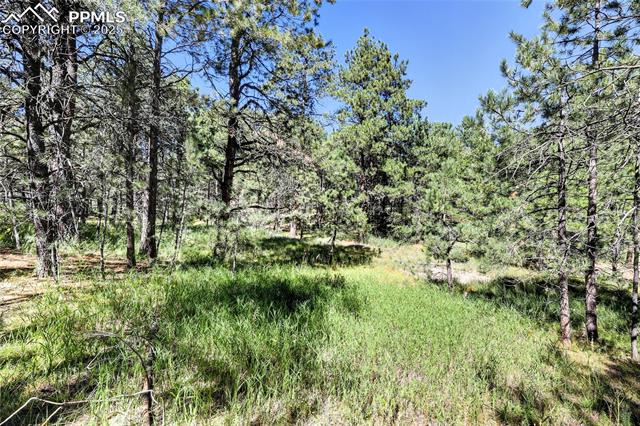 18380 Black Squirrel Rd, Colorado Springs, CO 80908