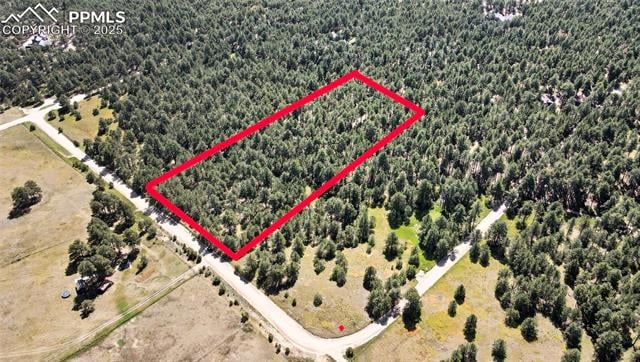 18390 Black Squirrel Rd, Colorado Springs, CO 80908