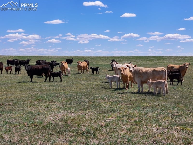 18497 County Road 197, Limon, CO 80828