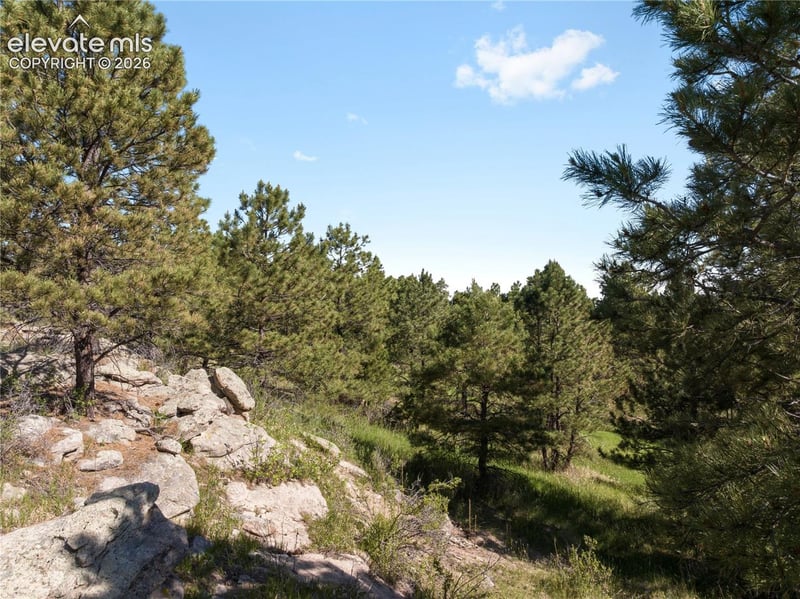 18673 N Elbert Rd, Elbert, CO 80106