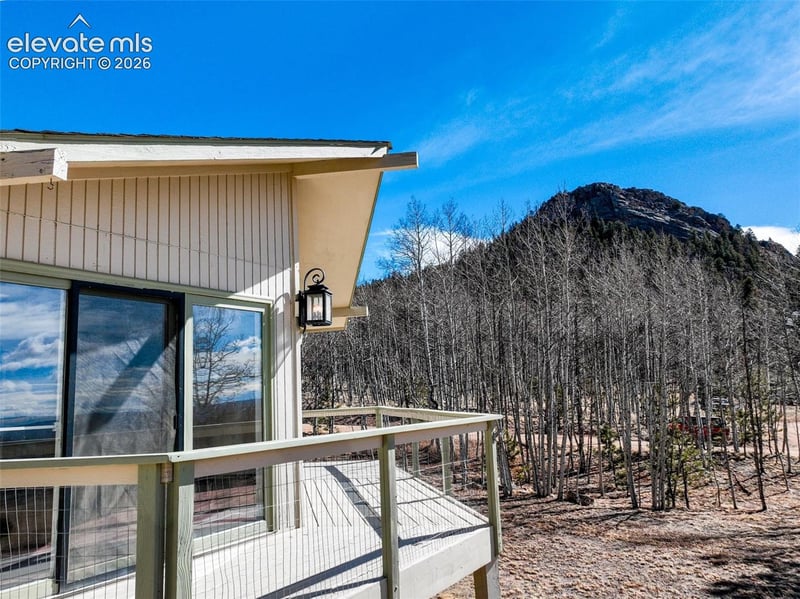 1874 Vagabond Creek Dr, Lake George, CO 80827