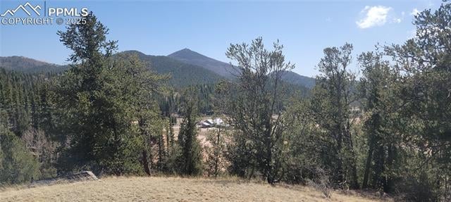 191 Portland Dr, Cripple Creek, CO 80813