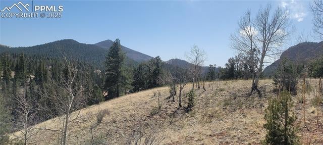191 Portland Dr, Cripple Creek, CO 80813
