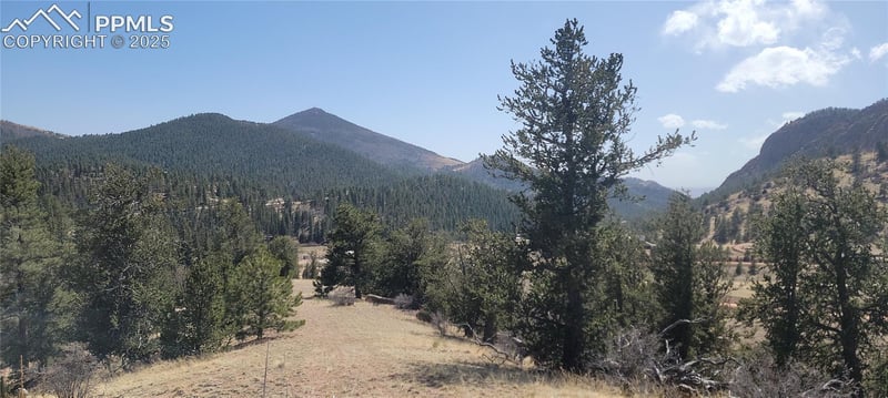 191 Portland Dr, Cripple Creek, CO 80813