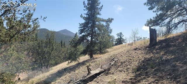 191 Portland Dr, Cripple Creek, CO 80813