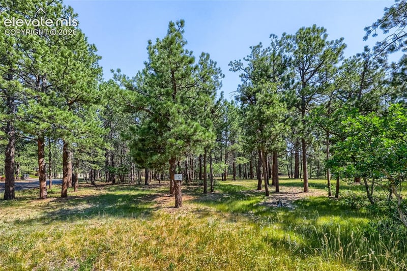19420 Glencannon Way, Monument, CO 80132