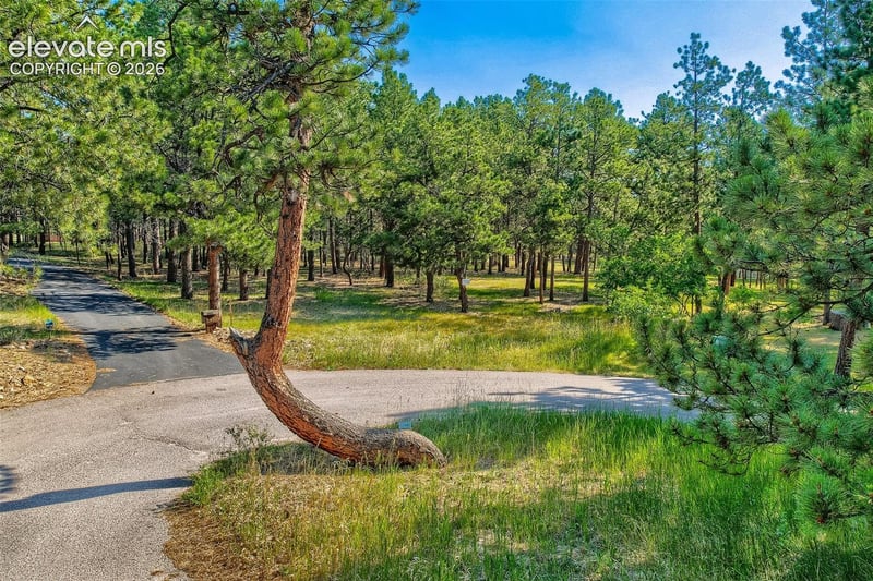 19420 Glencannon Way, Monument, CO 80132