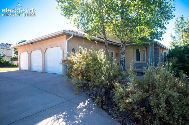 19558 Fox Trail Way, Monument, CO 80132