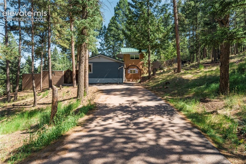 196 Summer Haven Dr, Woodland Park, CO 80863