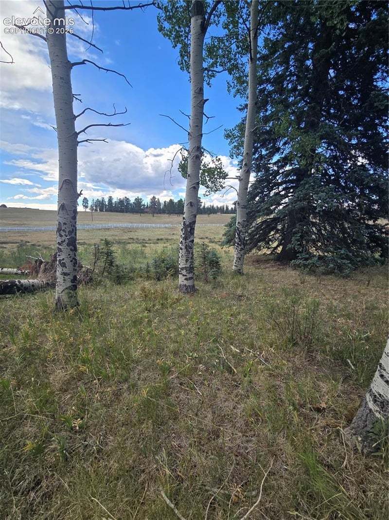 199 Joshua Rd, Divide, CO 80814