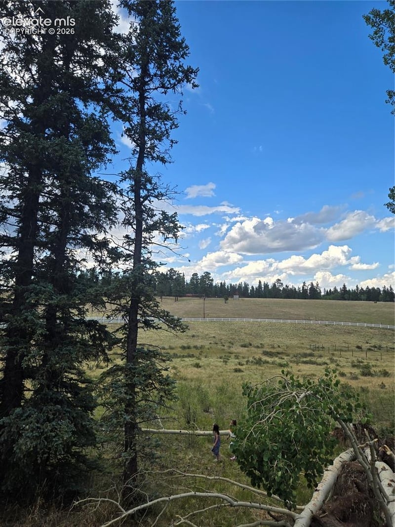 199 Joshua Rd, Divide, CO 80814