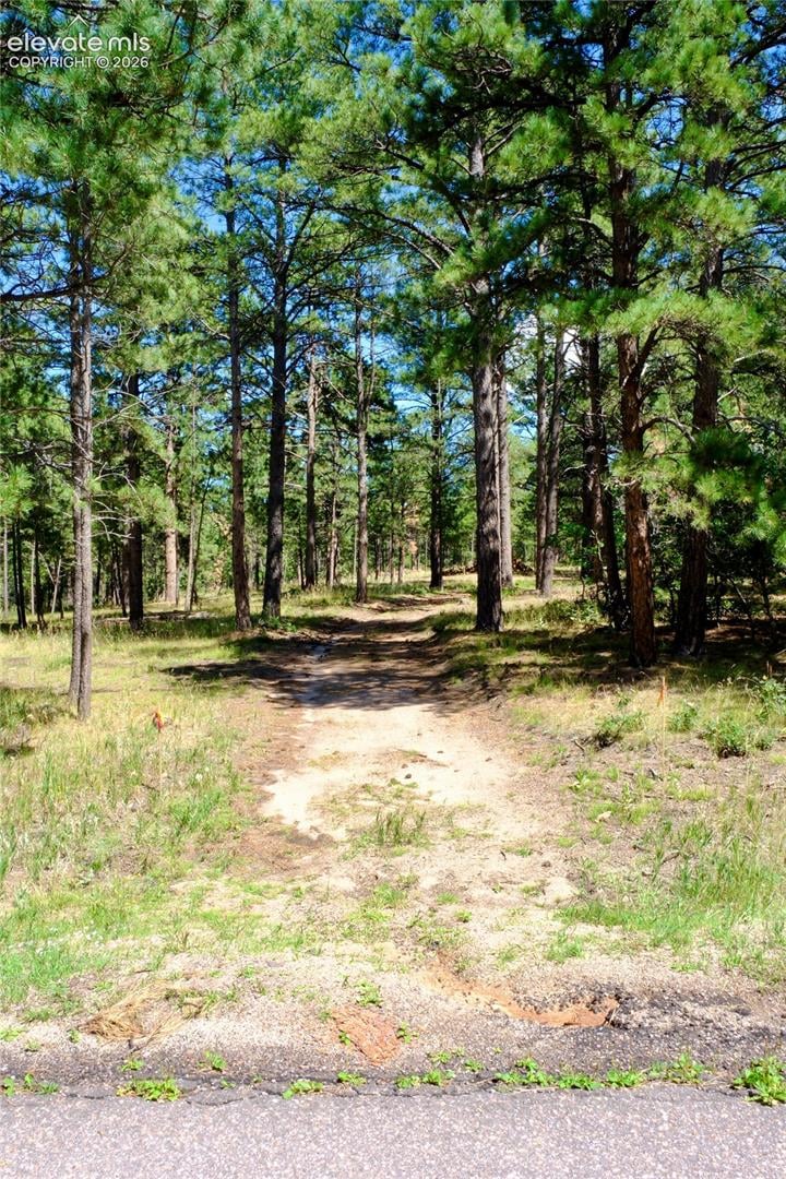 19953 Vista Clara Ln, Monument, CO 80132