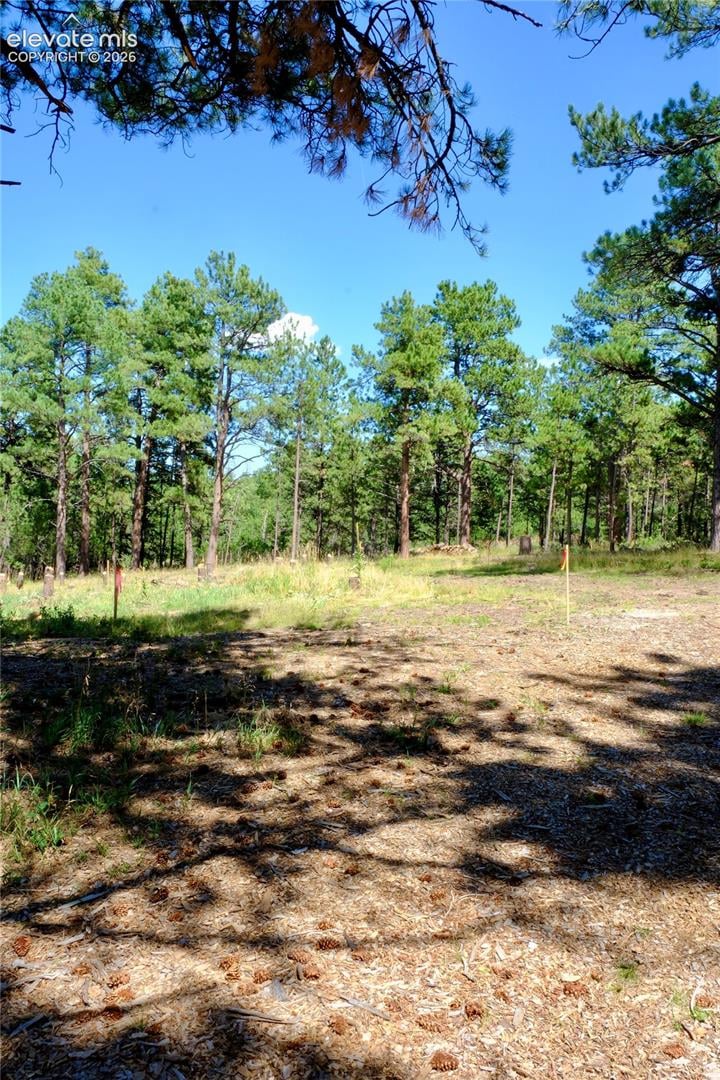 19953 Vista Clara Ln, Monument, CO 80132