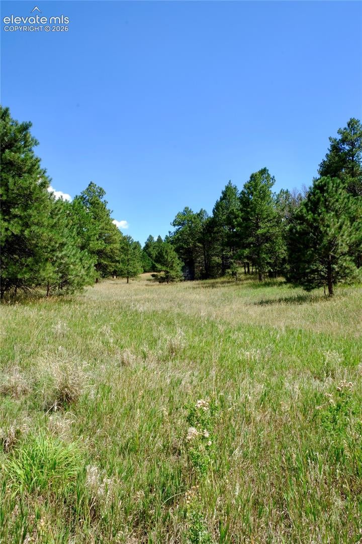 19953 Vista Clara Ln, Monument, CO 80132