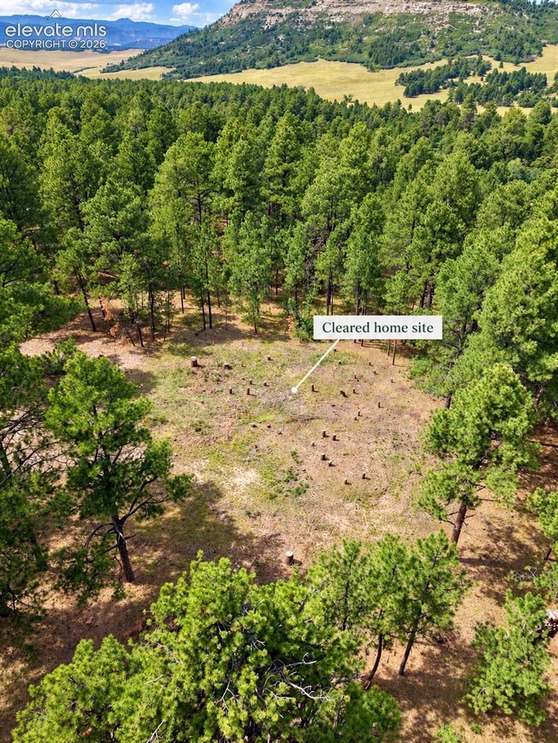 19953 Vista Clara Ln, Monument, CO 80132