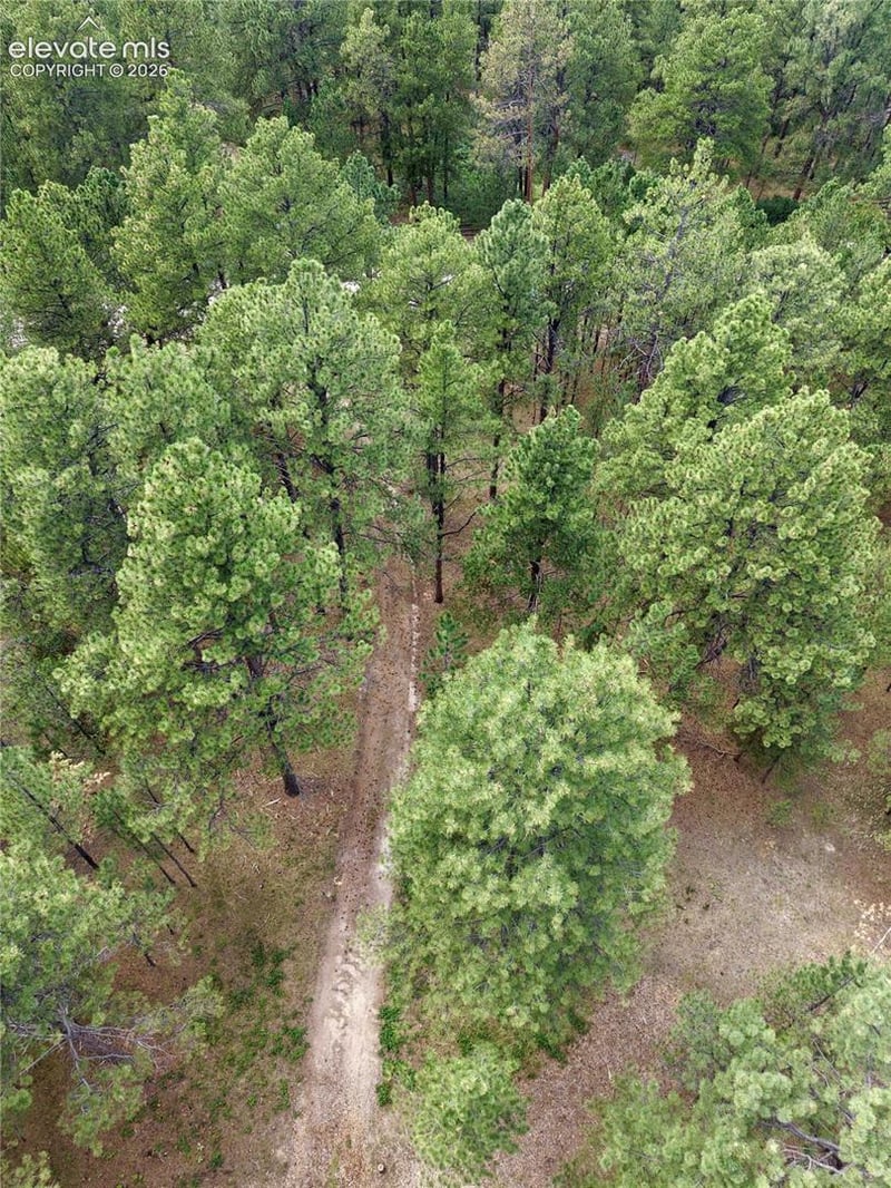 19953 Vista Clara Ln, Monument, CO 80132