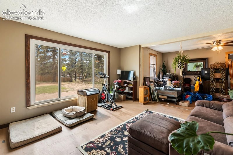 20 Westwood Dr, Woodland Park, CO 80863
