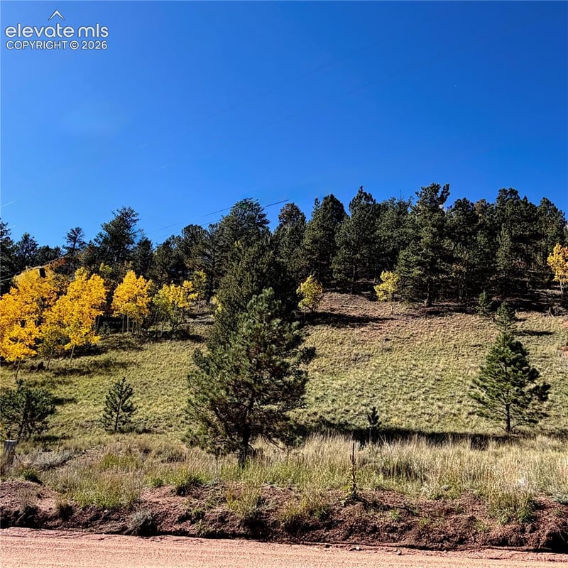 200 Beaver Pond Rd, Divide, CO 80814