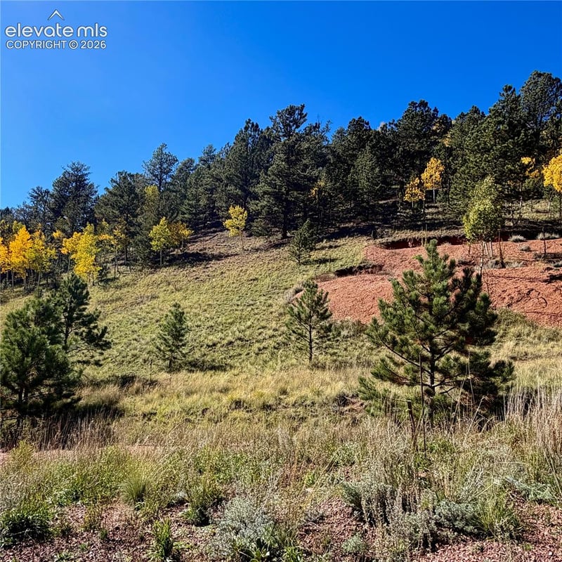 200 Beaver Pond Rd, Divide, CO 80814