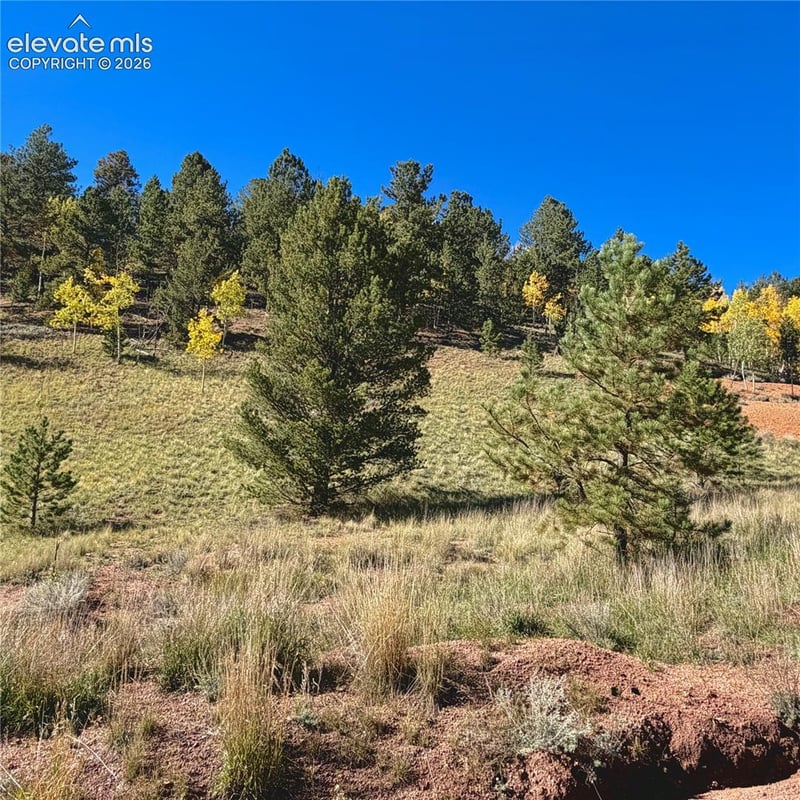 200 Beaver Pond Rd, Divide, CO 80814