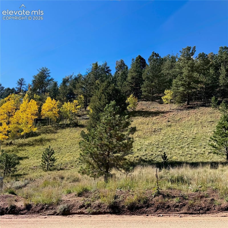 200 Beaver Pond Rd, Divide, CO 80814