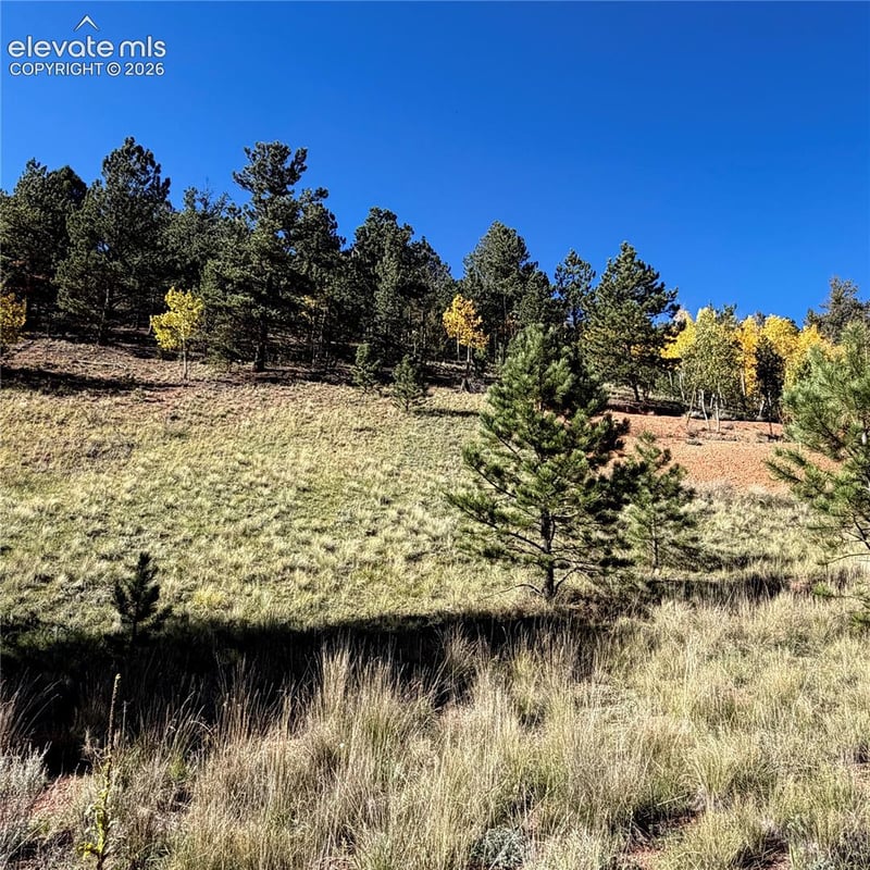 200 Beaver Pond Rd, Divide, CO 80814
