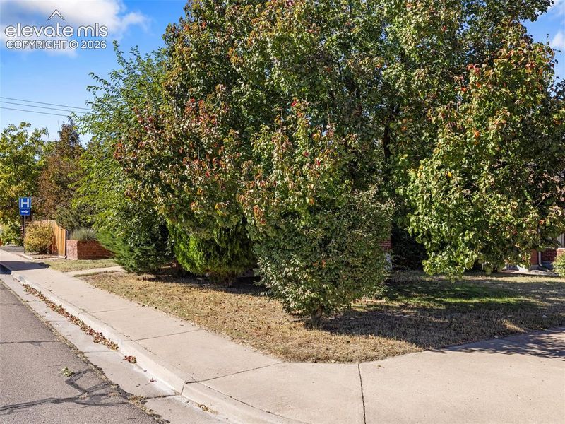 2037 Cedar St, Pueblo, CO 81004