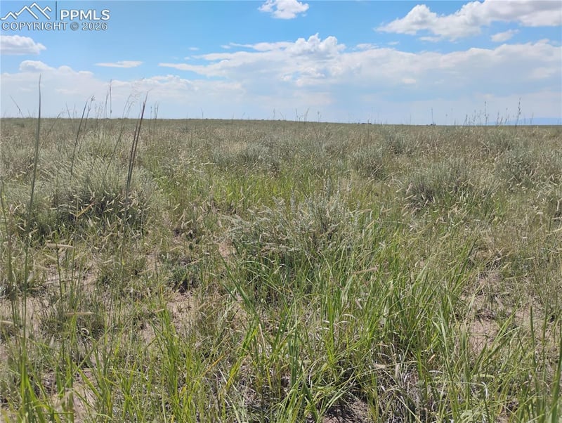20370 Squirrel Creek Rd, Colorado Springs, CO 80928
