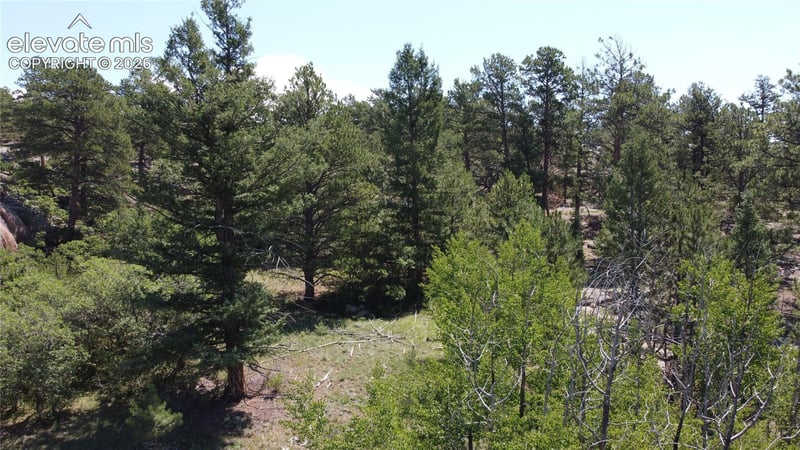 204 Pike View Ln, Florissant, CO 80816