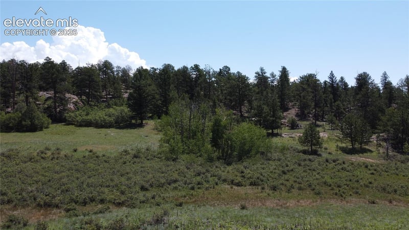 204 Pike View Ln, Florissant, CO 80816