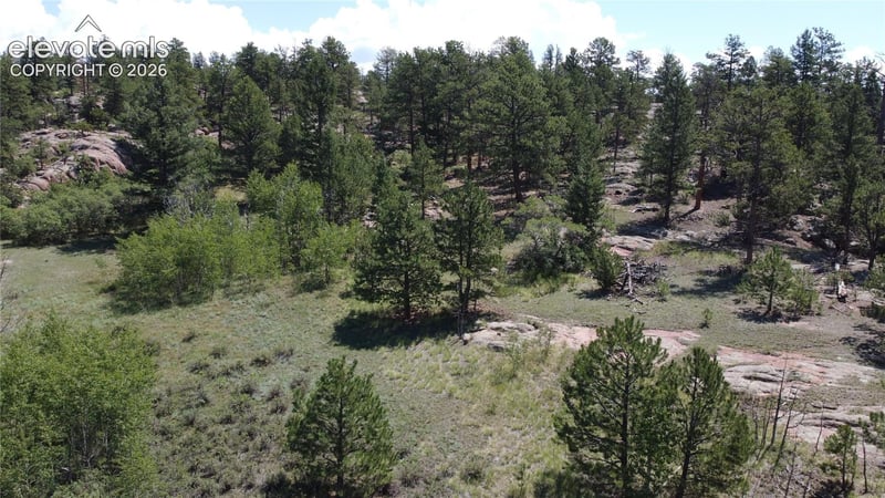 204 Pike View Ln, Florissant, CO 80816