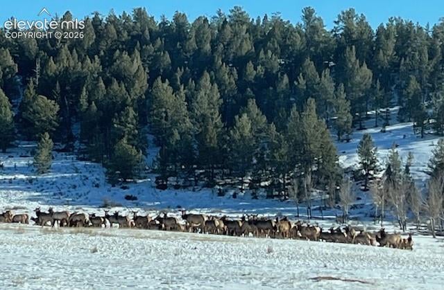 20400 Highway 285, Fairplay, CO 80440