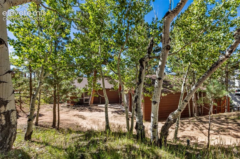 208 Illini Dr, Woodland Park, CO 80863