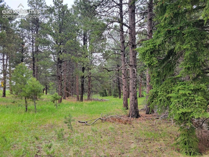 21 Bluebird Hill Dr, Woodland Park, CO 80866