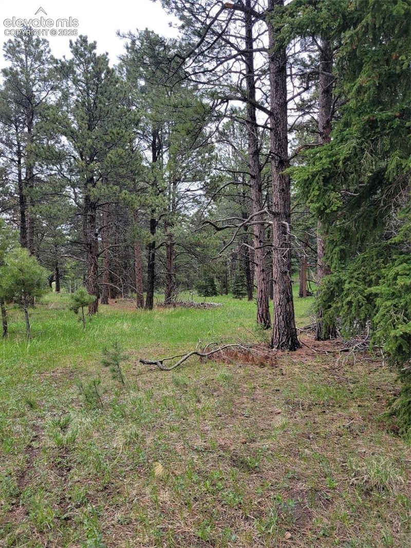 21 Bluebird Hill Dr, Woodland Park, CO 80866