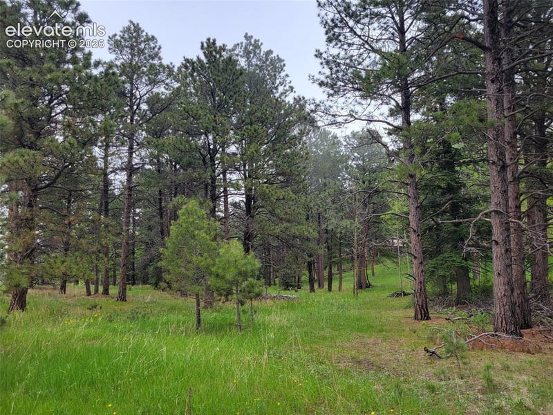 21 Bluebird Hill Dr, Woodland Park, CO 80866