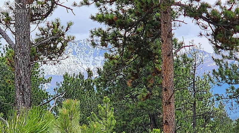 210 Bridlewood Ln, Woodland Park, CO 80863