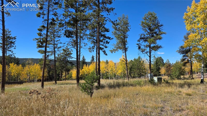 210 Bridlewood Ln, Woodland Park, CO 80863