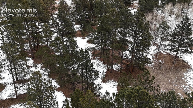210 Rhyolite Ln, Florissant, CO 80816
