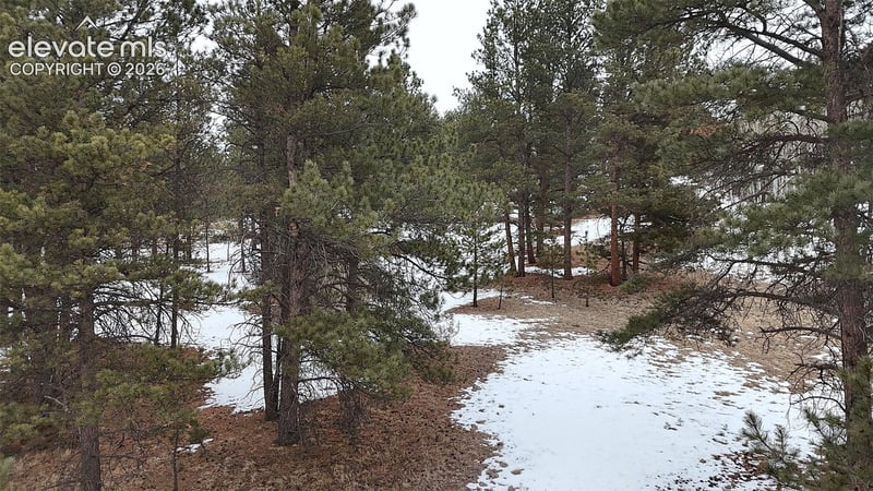 210 Rhyolite Ln, Florissant, CO 80816