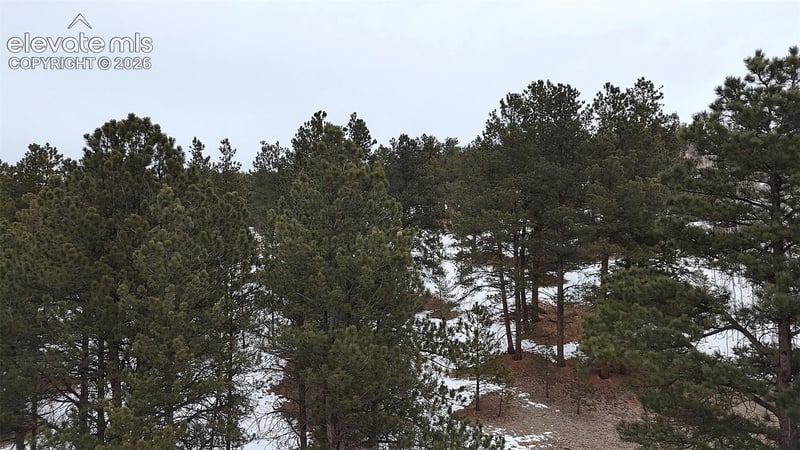 210 Rhyolite Ln, Florissant, CO 80816