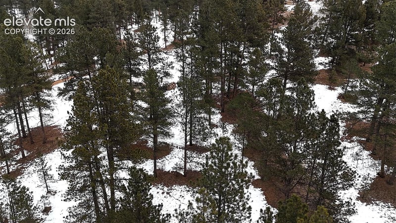 210 Rhyolite Ln, Florissant, CO 80816