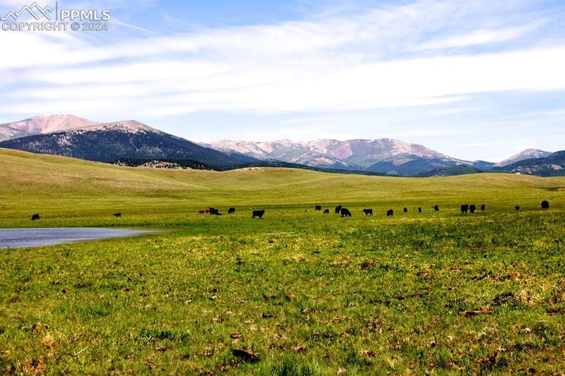 21103 Elkhorn Rd, Como, CO 80456