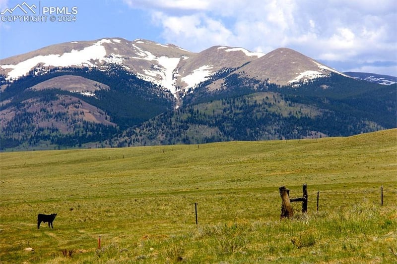 21103 Elkhorn Rd, Como, CO 80456
